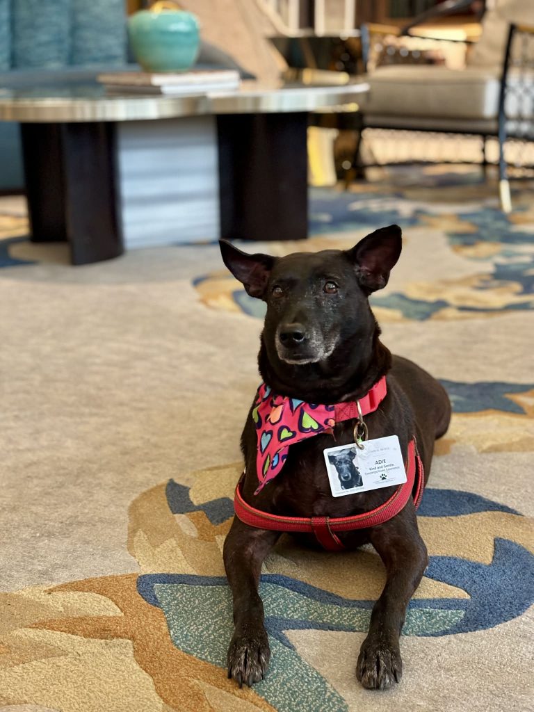 Admiral Hotel Manila MGallery 